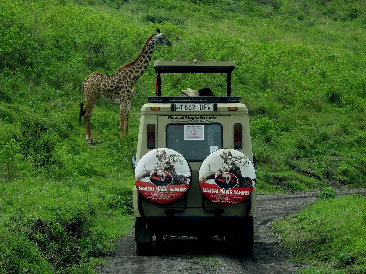 Safari en Tanzanie